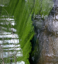 reflets_04