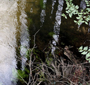 reflets_07